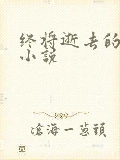 终将逝去的青春小说