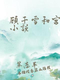 顾千雪和宫凌沨小说