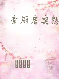 章厨房突然挺入