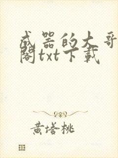 成器的大哥笔趣阁txt下载