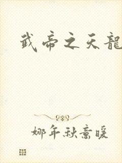 武帝之天龙八部