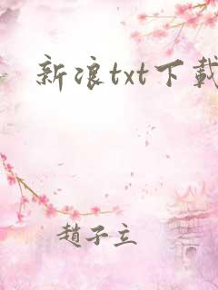 新浪txt下载