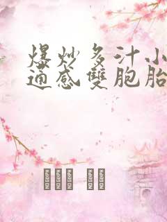 爆炒多汁小美人通感双胞胎