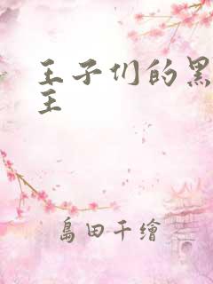 王子们的黑道公主