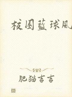 校园蓝球风云