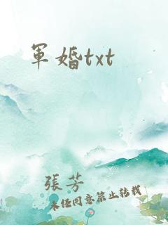 军婚txt
