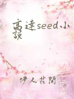 高达seed小说