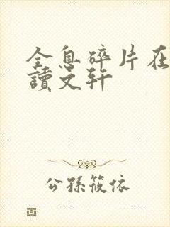 全息碎片在线阅读文轩