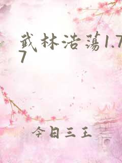 武林浩荡1.77
