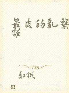 最爽的乱系列小说