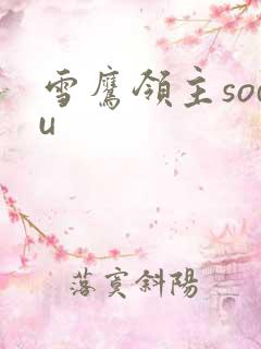 雪鹰领主sodu