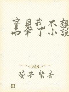 宝贝我不想带小雨伞了小说