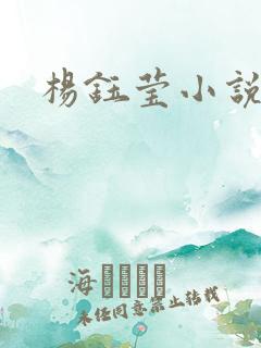 杨钰莹小说阅读