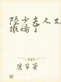 陆少夫人又双叒撒娇了