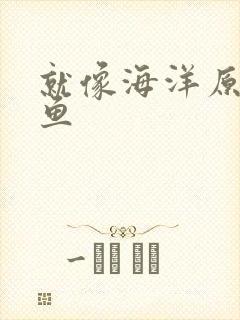 就像海洋原谅了鱼