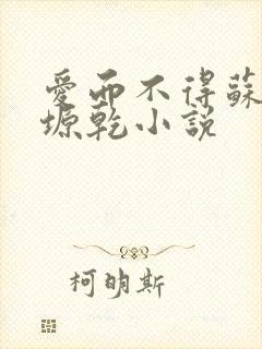 爱而不得苏路顾塬乾小说