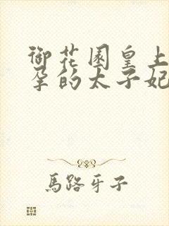 御花园皇上c有孕的太子妃