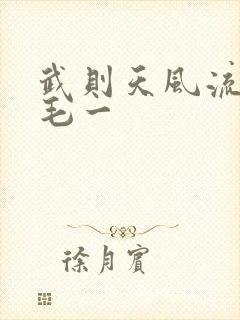 武则天风流艳情毛一