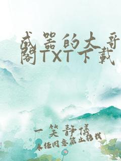 成器的大哥笔趣阁TXT下载