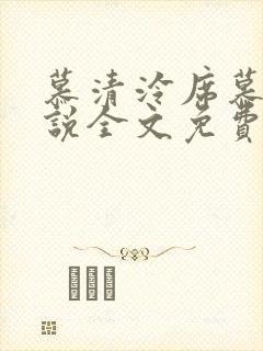 慕清泠席慕深小说全文免费阅读