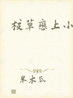 校草恋上小丫头