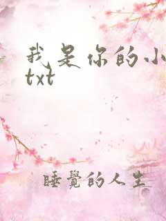 我是你的小小狗txt