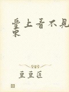 爱上看不见的房东