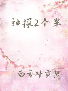 神探2个半
