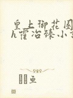 皇上御花园hlh霍冶臻小说