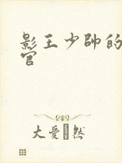 影王少帅的女长官