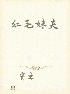 红毛妹夫