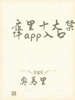 夜里十大禁用软件app入口