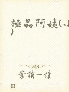 极品阿姨(小说)