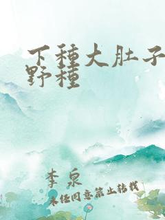 下种大肚子怀孕野种