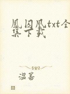 凤囚凰txt全集下载