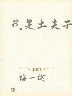 我是土夫子
