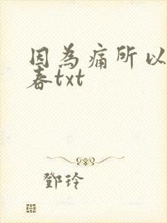 因为痛所以叫青春txt