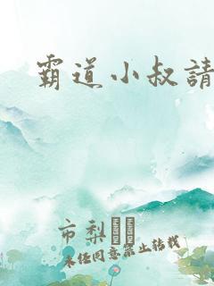 霸道小叔请轻撩