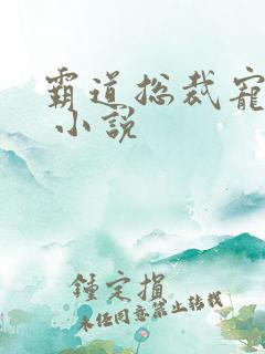 霸道总裁宠上天 小说