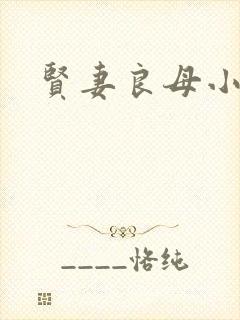 贤妻良母小说
