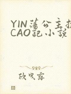 YIN荡公主挨CAO记小说