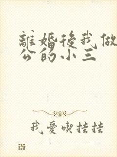 离婚后我做了老公的小三