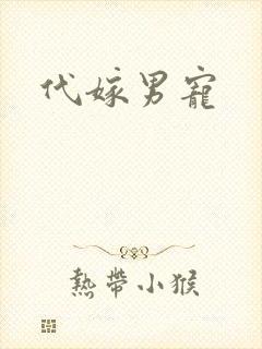代嫁男宠
