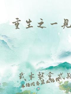 重生之一见倾心