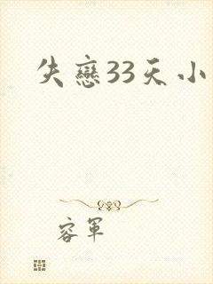 失恋33天小说