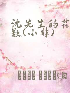 沈先生的花式调数(小非)