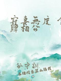 宠妻无度  金牌相公