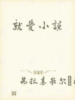 就爱小说
