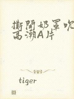 撕开奶罩吮奶头高潮A片