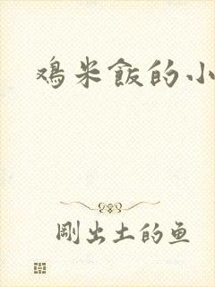 鸡米饭的小说